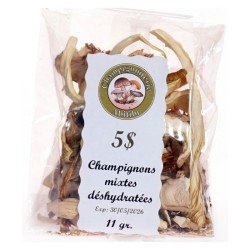 Champignons déshydratés